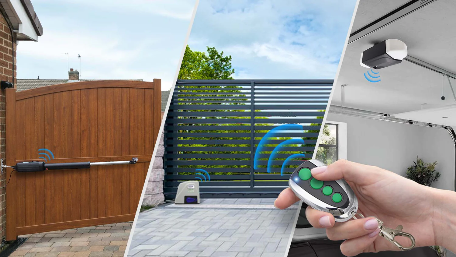 1 D6399155 3d4f 475a 99ae 5485c50facba